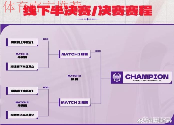 德杯完整赛制及规则介绍：新增决胜局盲选、教练语音